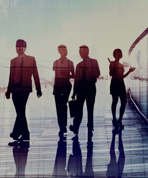 Employees in a workplace
